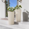 INFURNIC Planters, Outdoor Flower Pot, Tall Planters with Drainage Hole, for gardens, patios, or indoor spaces - 2 of 4