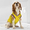 NBA Los Angeles Lakers Pets Basketball Mesh Jersey - image 4 of 4