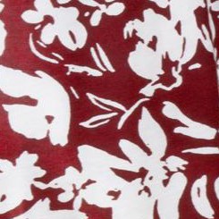fresh pomegranate print