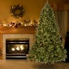 National Tree Company 10 ft Pre-lit 'Feel Real' Artificial Giant Downswept Christmas Tree, Green, Douglas Fir, White Lights, Includes Stand - 2 of 4
