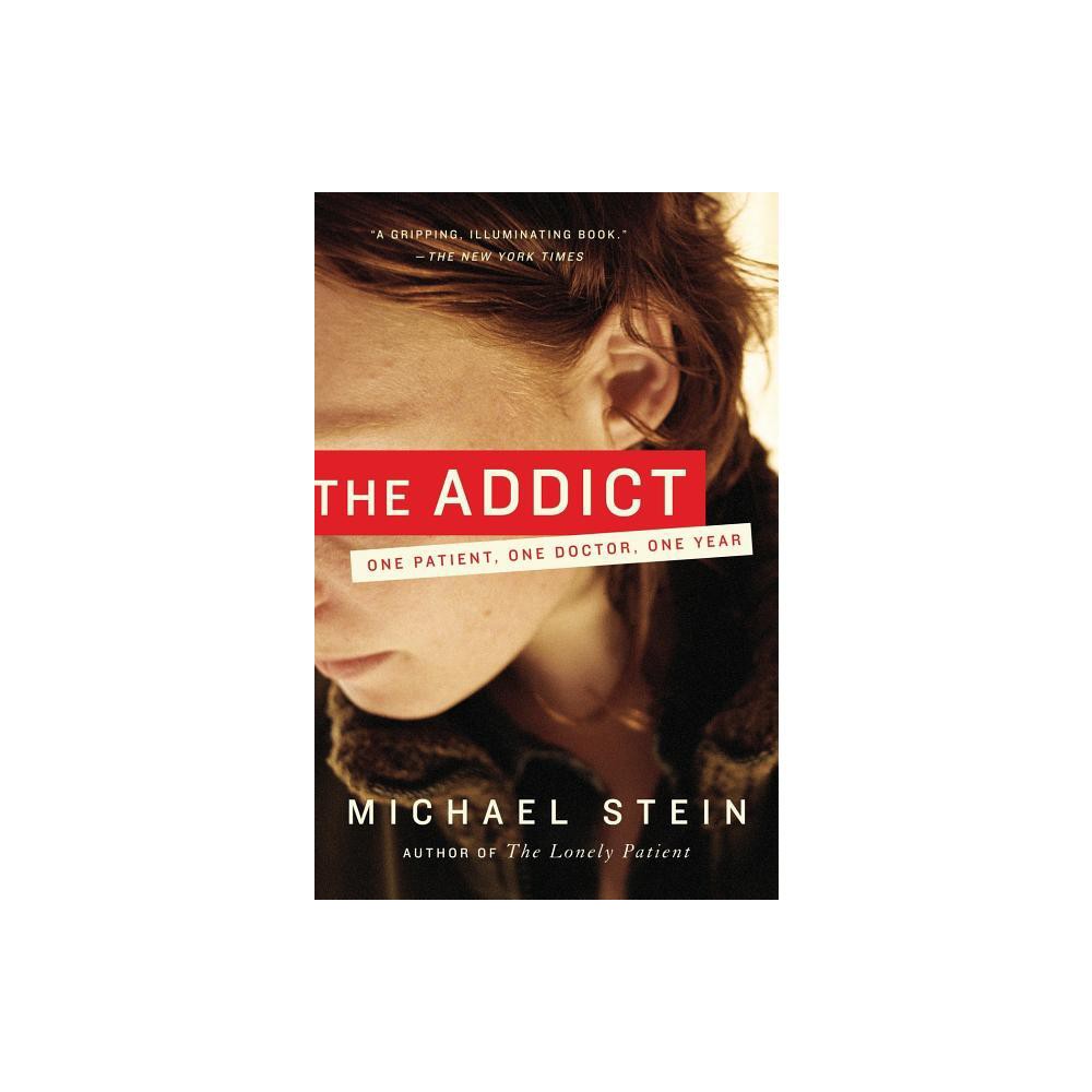 The Addict - by Michael Stein (Paperback)