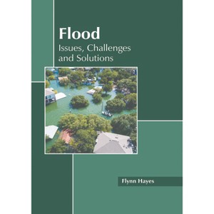 Flood: Issues, Challenges and Solutions - by  Flynn Hayes (Hardcover) - 1 of 1