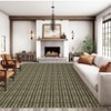 Washable Modern Braided Printed Rug Non Slip Low Pile Rug Soft Contemporary Throw Floor Cover Foldable Indoor Carpet for Living Room Bedroom - 2 of 4