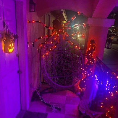 Guest review image 1 of 1, zoom in