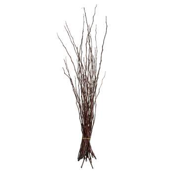 Vickerman 34-40" Moneta Branches, Dried 8oz