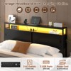 Aheaplus Storage Bed with Sliding Doors, LED Lights & USB Charging Station - 3 of 4