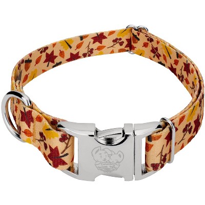 Country Brook Petz Premium Fall Foliage Dog Collar