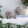TopComfy Decorative Object Iced Twig Ball Ornaments Set of 4 for Holiday Party Decorations, Brown, 5"*5"*5" - 3 of 4