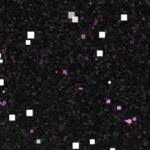 san diego padres 1969-1984