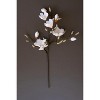 Artificial Magnolia Flowers Spray 44"H – White Bloom Stem, Set of 6 by Kalalou - 2 of 3