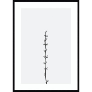 Amanti Art 30"x41" Retro Tennessee Botanical Print No 1 by Stephanie Klatt Wood Framed Wall Art Print Black: Minimalist Flower Art - 1 of 4