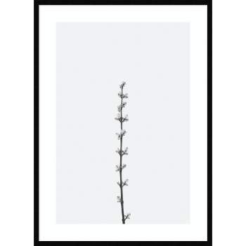 30"x41" Retro Tennessee Botanical Print No 1 by Stephanie Klatt Wood Framed Wall Art Print Black - Amanti Art