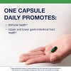 Metagenics UltraFlora Spectrum - Digestive & Immune Health Supplement - Daily Probiotic - Non-GMO & Gluten-Free - 60 Capsules - 3 of 4