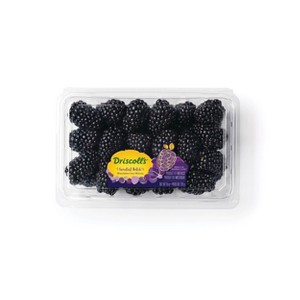 Driscoll's Sweetest Batch Blackberries - 10oz - 1 of 4