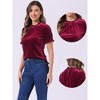INSPIRE CHIC Women's Short Sleeve Velvet Keyhole Back Ruffle Mock Neck Shirt - 2 of 4