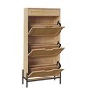 Rattan Shoe Cabinet with 3 Flip Doors and 1 Drawer, Narrow Shoe Rack with Adjustable Shelf, Freestanding Shoe Storage Organizer - 2 of 4