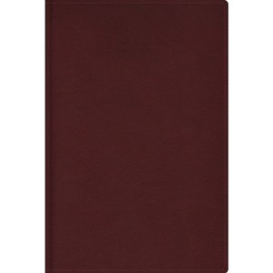 Rvr, Biblia de Estudio Trasfondo Cultural, Leathersoft, Rojo Vino, Interior a Color, Con Índice, Comfort Print - by  Reina Valera Revisada & Vida - 1 of 1