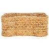 Roscoe Set 2 Dog Bone Baskets - STG1804 - Safavieh - 3 of 4