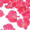 Unique Bargains Silk Plastic Durable Handcrafted Artificial Orchid Flower Heads 20 Pcs - 2 of 4