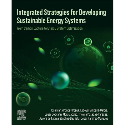 Integrated Strategies for Developing Sustainable Energy Systems - (Paperback)
