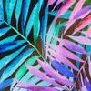 palmtastic