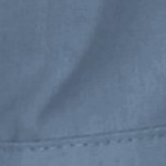 postman blue