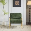 Modern Accent Chair with Plush Cushions - 4 of 4