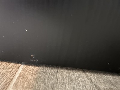Guest review image 5 of 6, zoom in