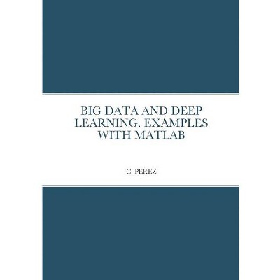 Big Data and Deep Learning. Examples with MATLAB - by  C Perez (Paperback)