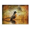 Trademark Fine Art -Lois Bryan 'The Robin' Canvas Art - 2 of 3