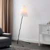 Norrie 63" Floor Lamp - FLL4143 - Black - Safavieh - 4 of 4