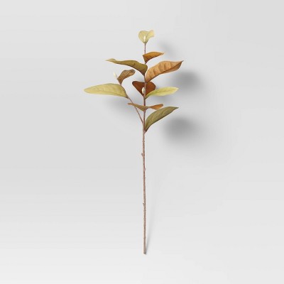 28" Artificial Magnolia Stem - Threshold™