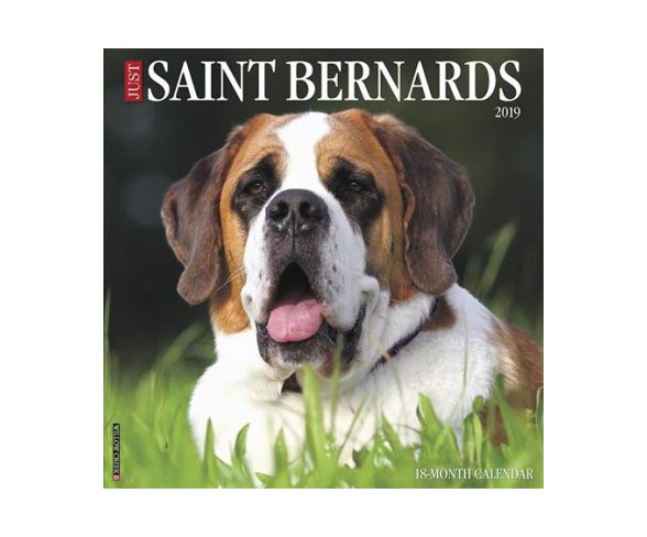 Just Saint Bernards 2019  -  (Paperback)