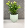 Tierra Garden 6.3" Matte Ceramic Basel Fashion Indoor Pot - 4 of 4