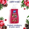Dial Antibacterial Frosted Cranberry & Pine Gel Pump Hand Soap - 11oz - 3 of 4