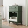 FURNIinspire Pet Storage Cabinet with Wall Mounted Cabinet, 2 Drawers and Semi-Open Space,27.5"*15.7"*39.7" - 4 of 4