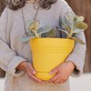 Bloem Saturn Round Resin Planter Pot Indoor and Outdoor Gardening - 2 of 4