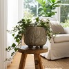 Ceramic Ceramic Planter with Textured Botanical Design, Footed Garden Pot for Home & Outdoor Decor - 5" Cream - 2 of 4