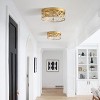 Dewdrop Flush Mount Ceiling Light Gold Metal Frame with Seeded Glass Shade for Bedroom Hallway Dining Room - 4 of 4