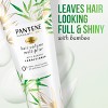 Pantene Nutrient Blends Silicone Free Bamboo Shampoo and Conditioner Dual Pack - 17.6 fl oz - 4 of 4