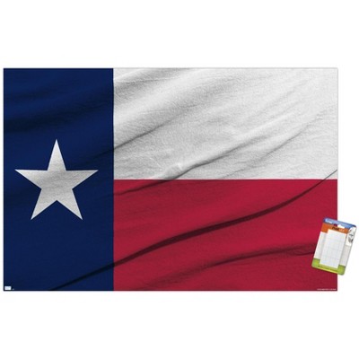 Trends International Texas Flag Unframed Wall Poster Print White Mounts ...