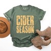 Cider Season Block Distressed - Women's Garment Dyed Graphic T-Shirt - 3 of 4