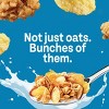 Honey Bunches of Oats Cereal - image 4 of 4