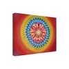 Trademark Fine Art - Amy Diener  Mandala Energy Canvas Art - 4 of 4