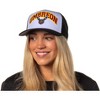 Seven Times Six Pokemon Adult Embroidered Precurve Snapback Hat For Men and Women - image 3 of 4