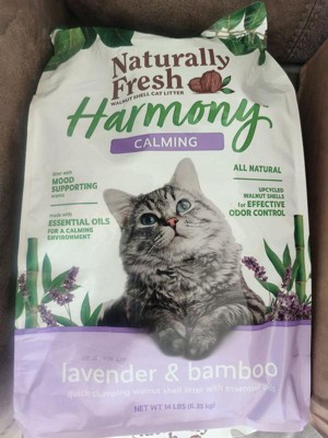 Guest review image 1 of 2, zoom in