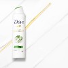 Dove Beauty Cool Essentials 48-Hour Antiperspirant & Deodorant Dry Spray - image 4 of 4