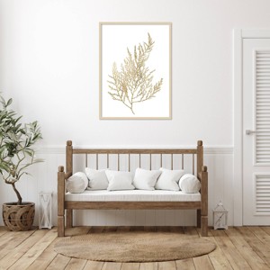 Amanti Art Neutral Algae II by Jennifer Goldberger Wood Framed Wall Art Print - 1 of 4