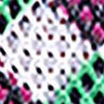 Checkers