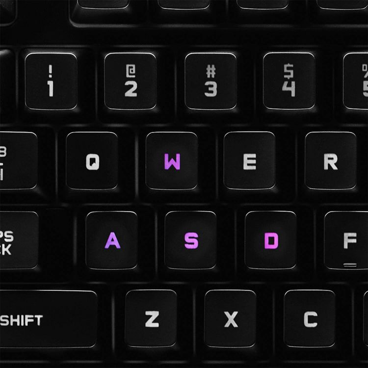 Logitech Pro Mechanical Gaming Keyboard for PC: TKL, RGB Lighting, Micro USB Connection, 4 of 11